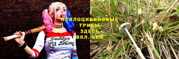 герыч Аркадак