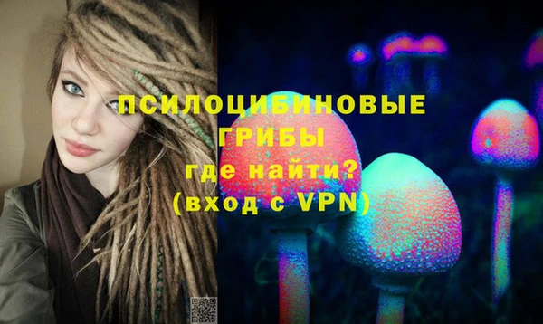 метадон Арсеньев