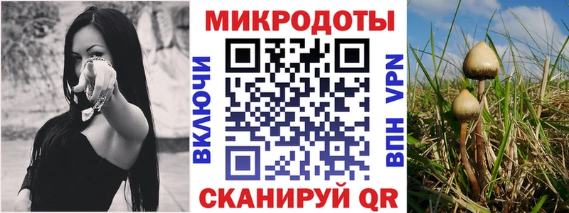 Псилоцибиновые грибы ЛСД  Унеча 